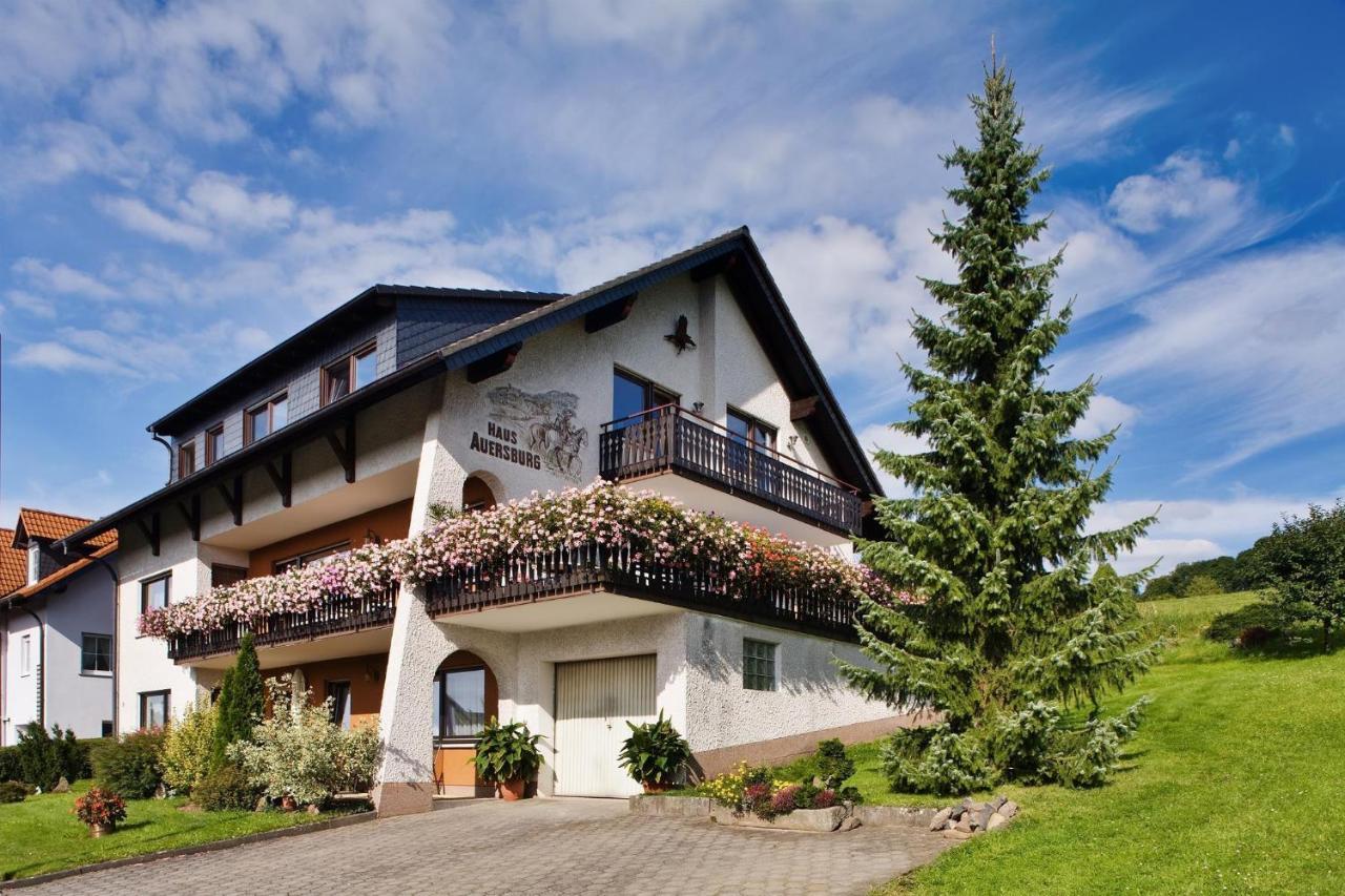 Haus Auersburg Appartement Hilders Buitenkant foto