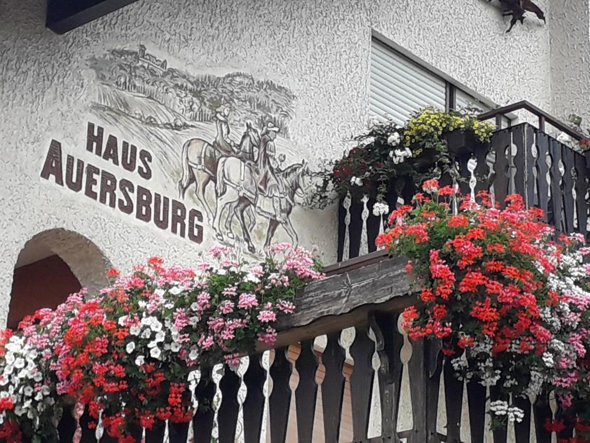 Haus Auersburg Appartement Hilders Buitenkant foto