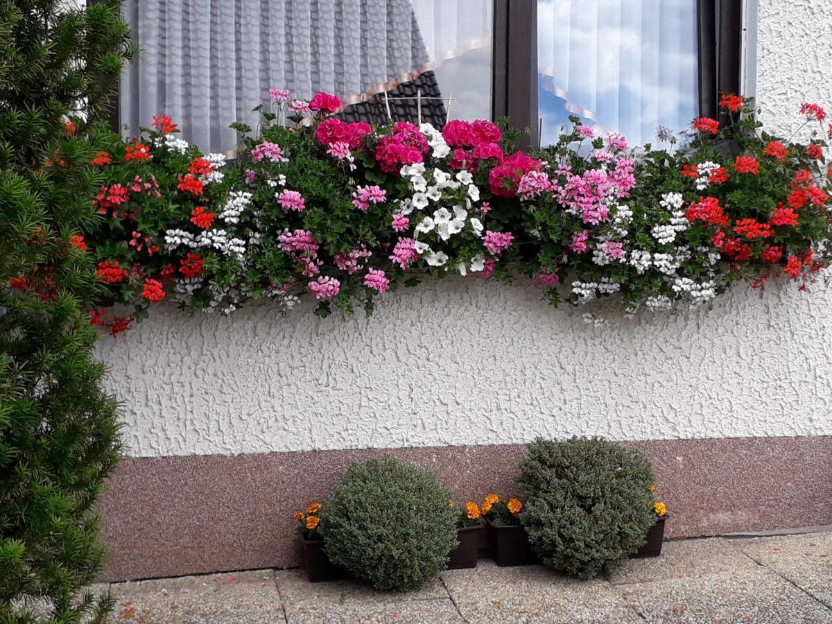 Haus Auersburg Appartement Hilders Buitenkant foto