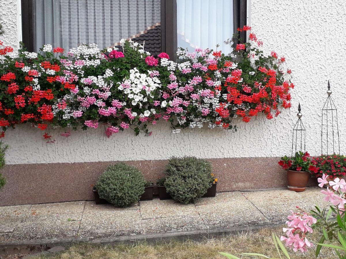 Haus Auersburg Appartement Hilders Buitenkant foto