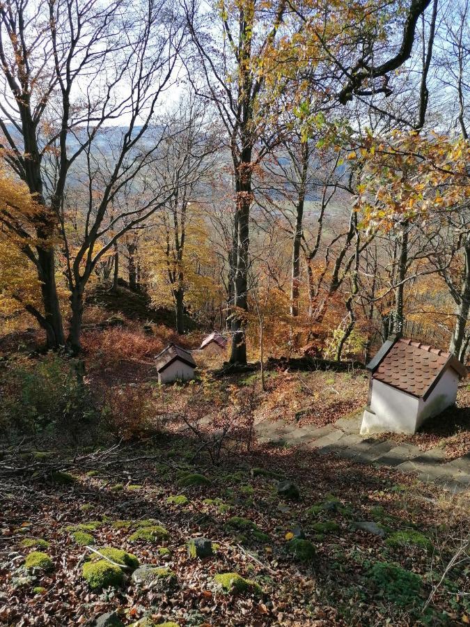 Haus Auersburg Appartement Hilders Buitenkant foto